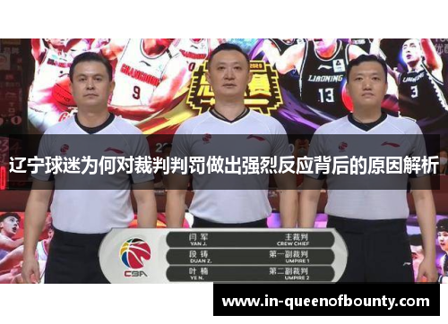 辽宁球迷为何对裁判判罚做出强烈反应背后的原因解析